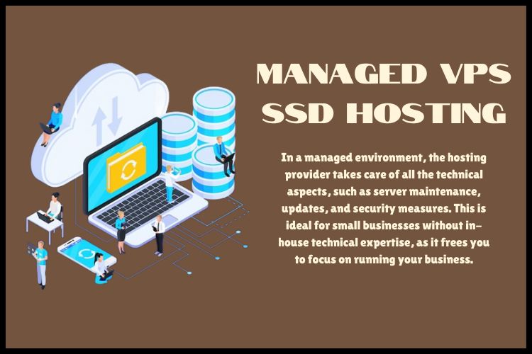Managed VPS SSD Hosting