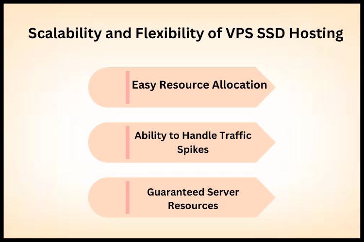 Scalability and Flexibility of VPS SSD Hosting