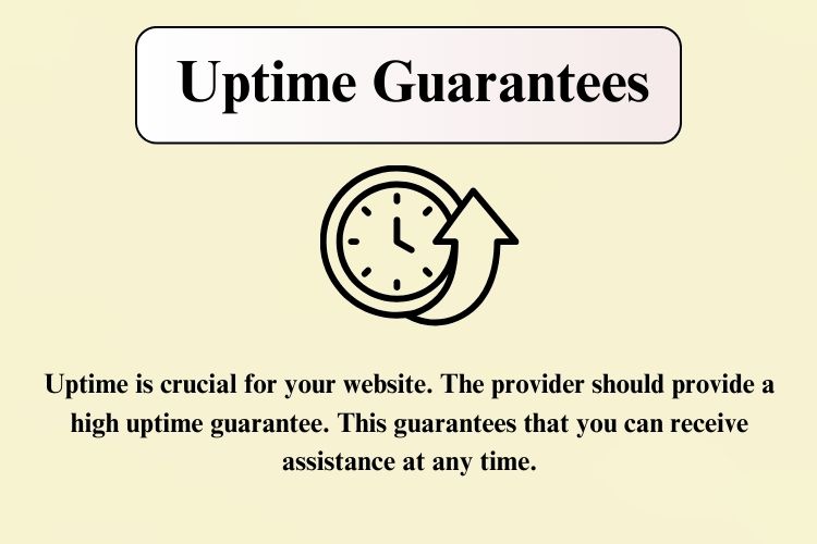 Uptime is crucial for your website. The provider should provide a high uptime guarantee. This guarantees that you can receive assistance at any time.